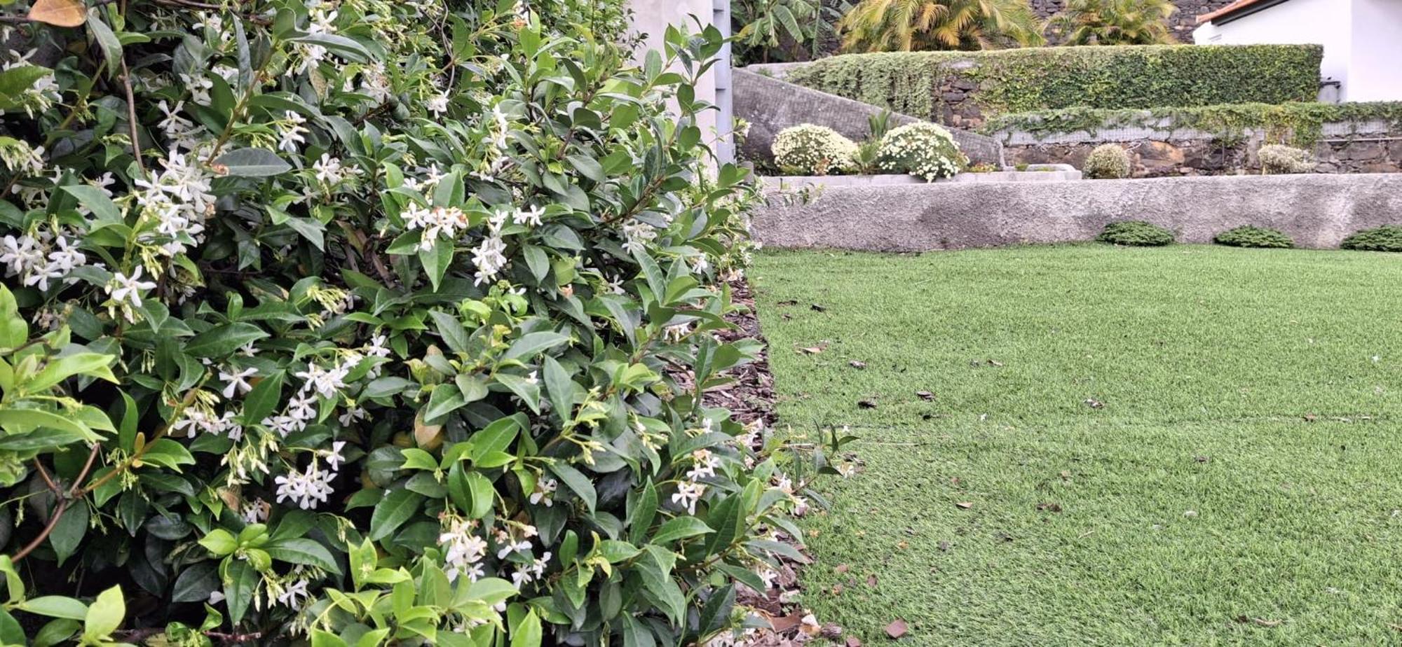 Moradia Stephanie Funchal  Esterno foto